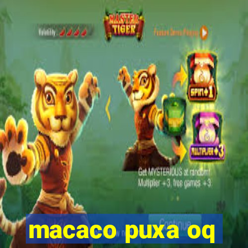 macaco puxa oq